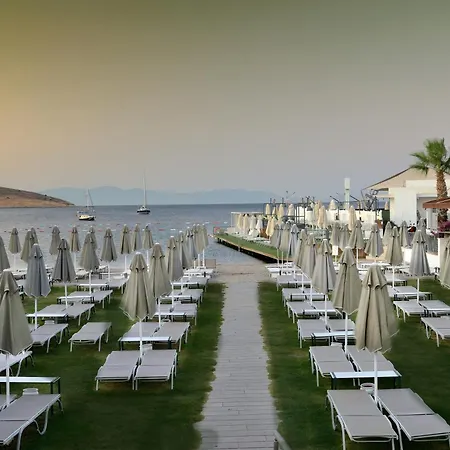 Hotel Lugga Boutique & 3*