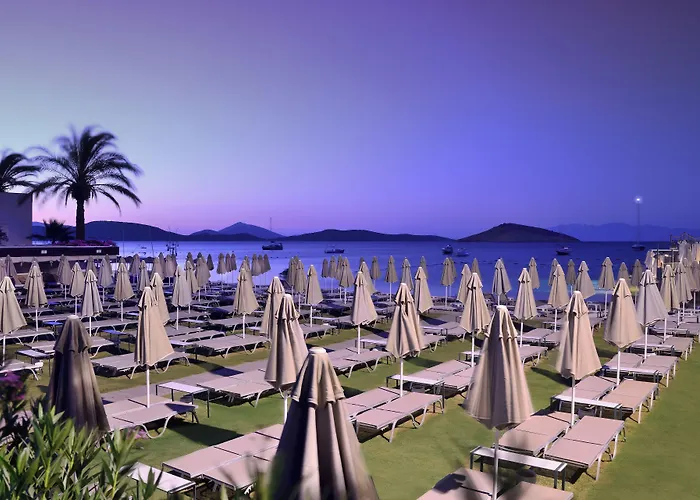 Hotel Lugga Boutique & 3*