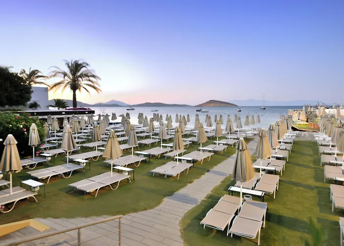 Hotel Lugga Boutique & 3*